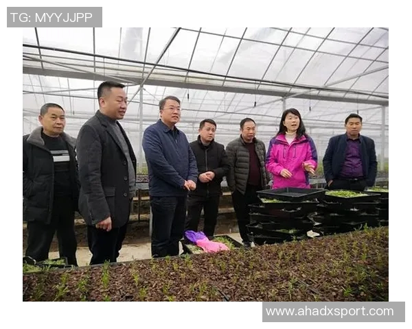 沿河四中足球比赛精彩直播全程回顾与精彩瞬间分享