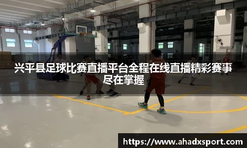 MK体育官网入口