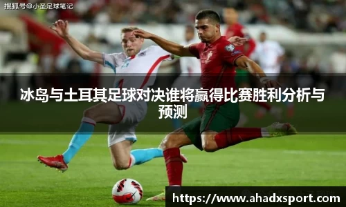 冰岛与土耳其足球对决谁将赢得比赛胜利分析与预测