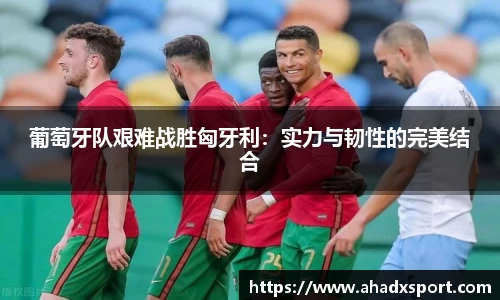 MK体育官网入口