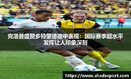 MK体育官网入口